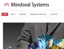 Mindseal Systems