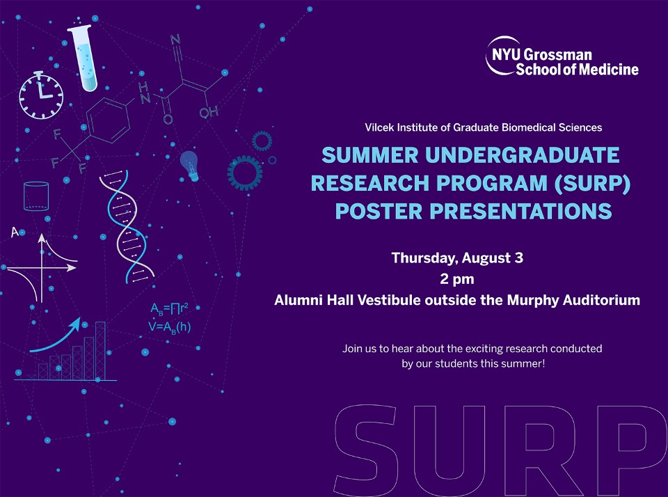 Summer Undergraduate Research Program (SURP) poster presentations invitation for the Vilcek Institute: light-blue type on deep purple with science line icons, a DNA helix and a network pattern
